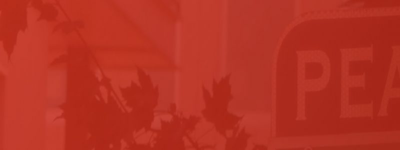 What Type of Content Works Best for Your Brand?