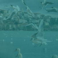 Pay Per Click Advertising Services - You Need the Right Attraction - Background Image | Digital C4