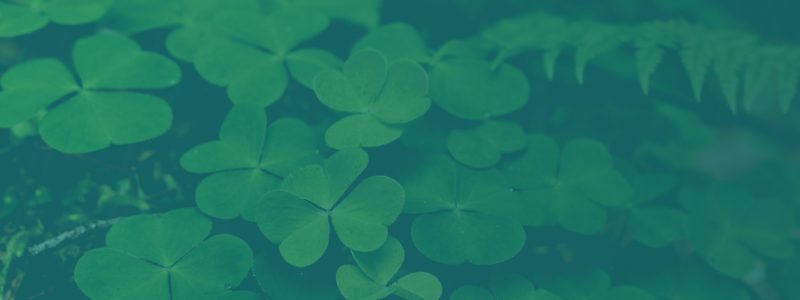 Pay Per Click Advertising Services - Clover Field - Background Image | Digital C4