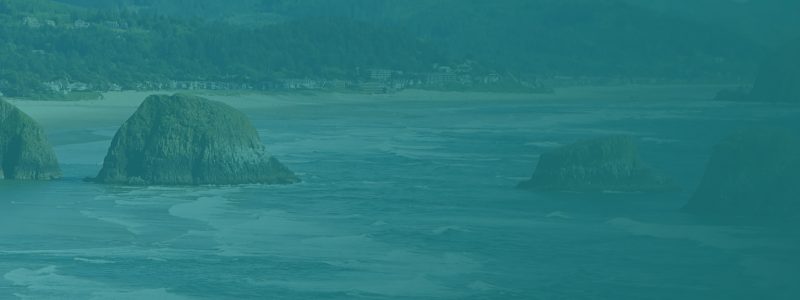 Pay Per Click Advertising Services - Oregon Ocean Beaches and Rocks - Background Image | Digital C4