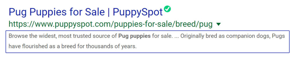 Pup Puppies For Sale | PuppySpot - Search Engine Results