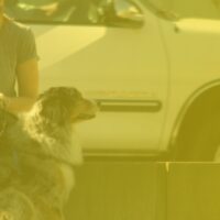 Top 10 Lead Generation Tactics for Budget-Conscious B2B Startups