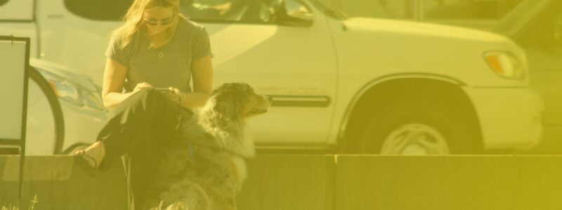 Top 10 Lead Generation Tactics for Budget-Conscious B2B Startups