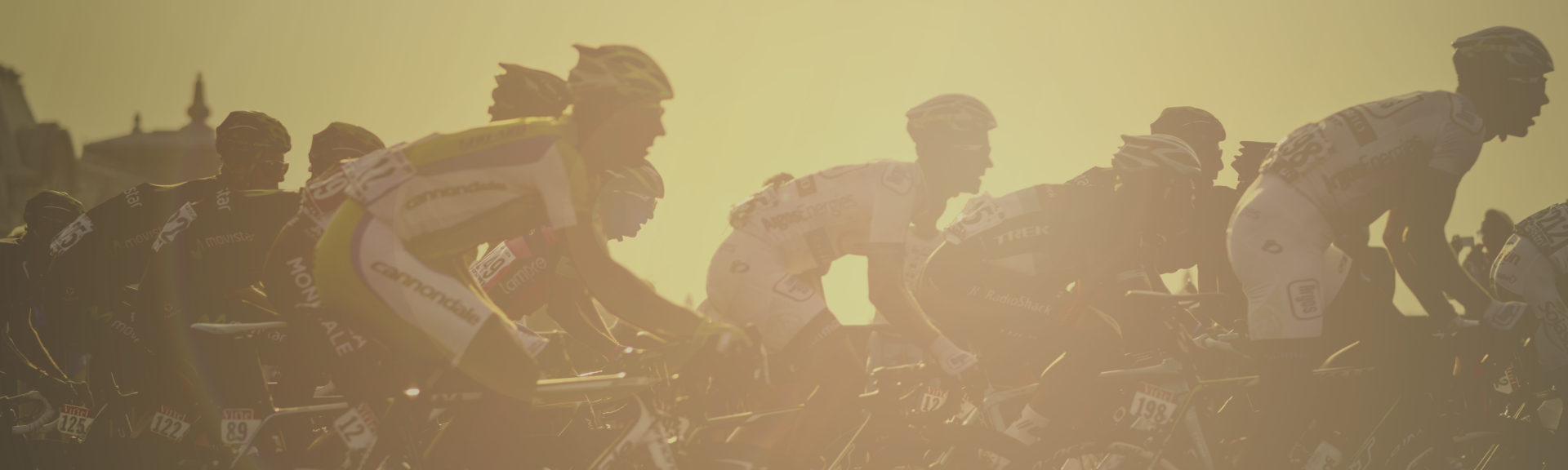 Proven Marketing Strategies for Resilient Startups in Economic Uncertainty