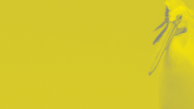 Why B2B Landing Pages Fail and How to Fix Yours for Higher Conversions