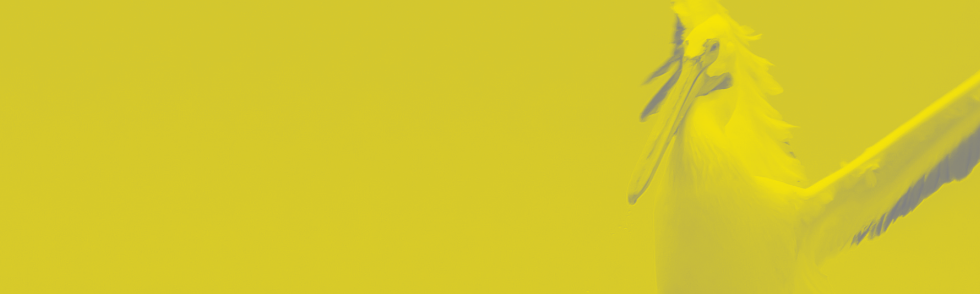 Why B2B Landing Pages Fail and How to Fix Yours for Higher Conversions